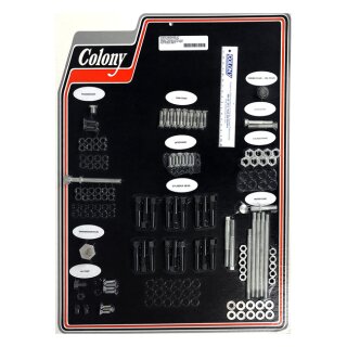 COLONY MOTOR SCREW SET