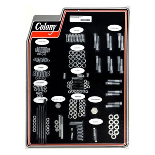 COLONY MOTOR SCREW SET