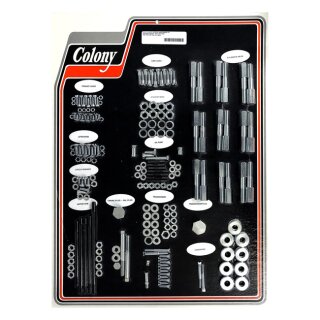 COLONY MOTOR SCREW SET