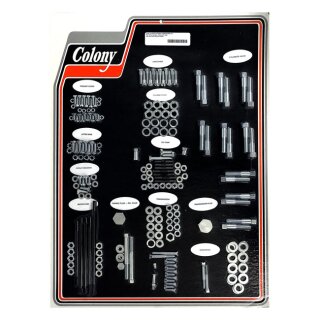 COLONY MOTOR SCREW SET