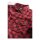 Dickies Rock Hall shirt fiery red