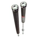 Progressive Suspension FST Monotube Gabelfeder Kit für Harley Touring 17-25