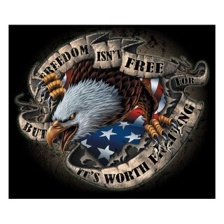 LT FREEDOM ISNT FREE DECAL