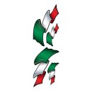 LT ITALIAN FLAG SET DECAL