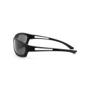 Helly biker shades Flybar 3, smoke