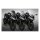 NC VStreamÂ® Sport/Tour windshield dark tint