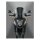 NC VStreamÂ® Sport windshield dark tint