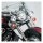 NC Spot light bar chrome