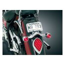TURN SIGNALS WITH LIGHTED CURVED LICENSE PLATE