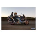 Kuryakyn windshield trim with turn signal accents, chrome