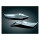 TRUNK TAILLIGHT VISORS FOR GL1800