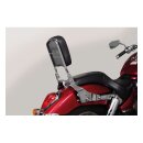 NC PaladinÂ® Back rest chrome
