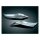 TRUNK TAILLIGHT VISORS FOR GL1800