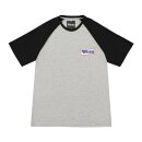 ROEG Frank mens t-shirt grey/black