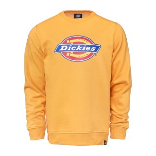 Dickies Pittsburgh sweat amber