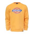 Dickies Pittsburgh sweat amber