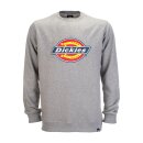 Dickies Pittsburgh ladies sweat grey melange