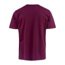 Dickies Tiptonville T-shirt maroon