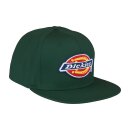 Dickies Muldoon 5 panel snapback cap forest