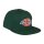 Dickies Muldoon 5 panel snapback cap forest