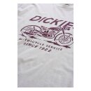 Dickies Remsen t-shirt white