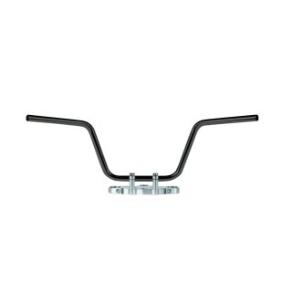 TRW Custom 22mm apehanger