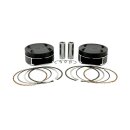 Wiseco, 107" to 124" big bore piston conversion...