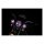 Kuryakyn, Orbit Prism+ 4 1/2" LED passing lamp units