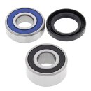 All Balls wheel bearing kit, front & rear