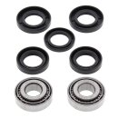 All Balls wheel bearing kit, front & rear