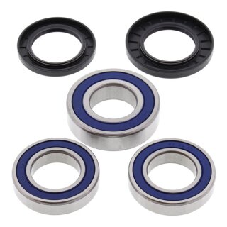All Balls wheel bearing kit, rear