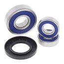 All Balls wheel bearing kit, rear