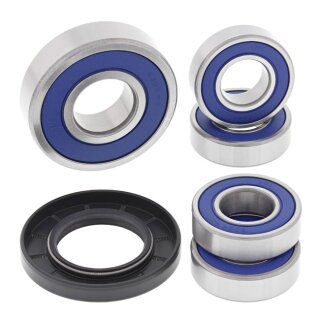 All Balls wheel bearing kit, rear