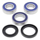 All Balls wheel bearing kit, rear