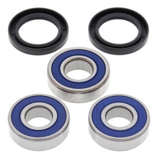 All Balls wheel bearing kit, rear