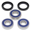 All Balls wheel bearing kit, rear