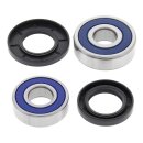 All Balls wheel bearing kit, rear