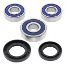 All Balls wheel bearing kit, rear