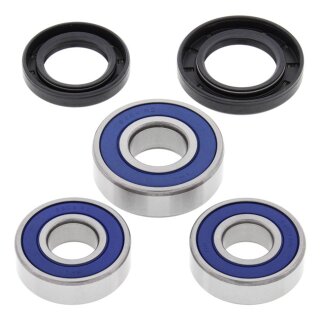 All Balls wheel bearing kit, rear