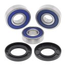 All Balls wheel bearing kit, rear