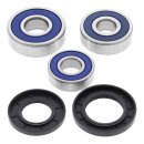 All Balls wheel bearing kit, rear