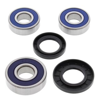 All Balls wheel bearing kit, rear
