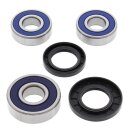 All Balls wheel bearing kit, rear