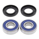 All Balls wheel bearing kit, rear