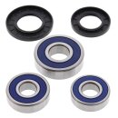 All Balls wheel bearing kit, rear