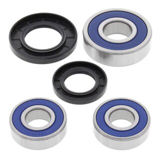 All Balls wheel bearing kit, rear