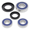 All Balls wheel bearing kit, rear