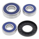 All Balls wheel bearing kit, rear