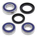 All Balls wheel bearing kit, rear