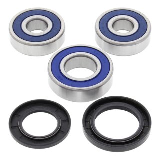 All Balls wheel bearing kit, rear